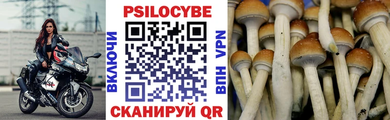 Купить закладки  Урус-Мартан  Галлюциногенные грибы прущие грибы 